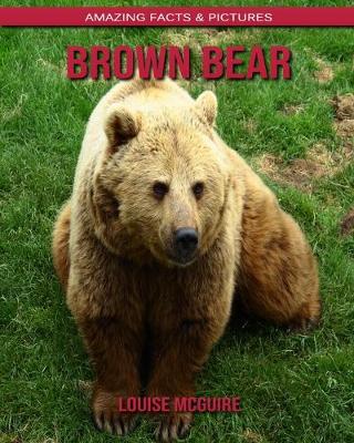 Book cover for Brown Bear