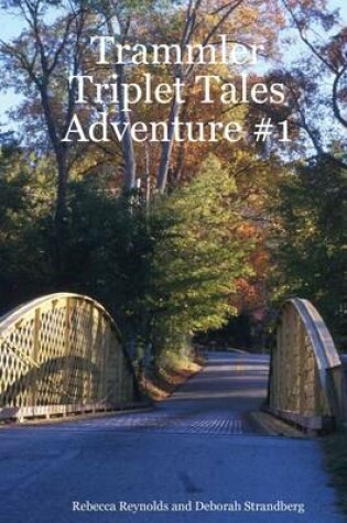 Cover of Trammler Triplet Tales : Adventure #1