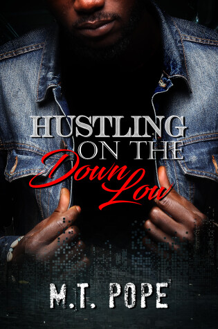 Cover of Hustling on the Down Low