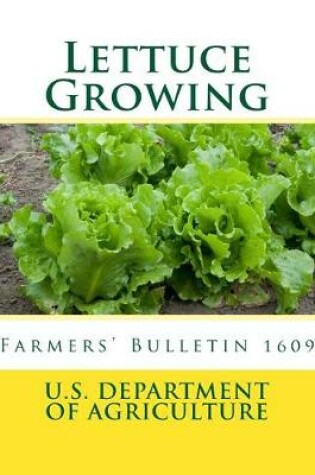 Cover of Lettuce Growing