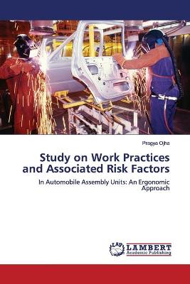 Book cover for Study on Work Practices and Associated Risk Factors