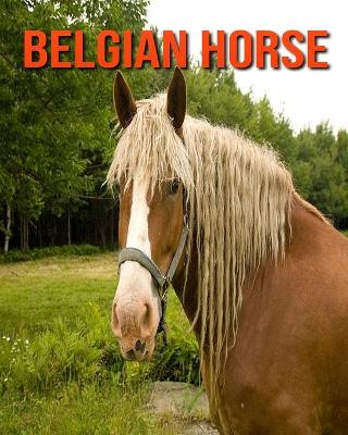 Book cover for Belgian Horse