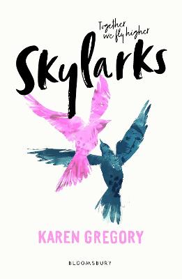 Book cover for Skylarks