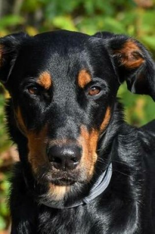 Cover of Awesome Beauceron Dog Journal