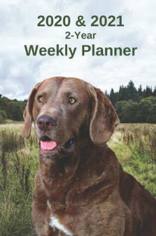 Cover of 2020 & 2021 Weekly Planner - Two Year Appointment Book Gift - Two-Year Agenda Notebook for Chesapeake Bay Retriever Dog Owners