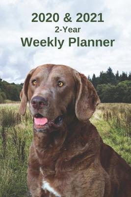 Book cover for 2020 & 2021 Weekly Planner - Two Year Appointment Book Gift - Two-Year Agenda Notebook for Chesapeake Bay Retriever Dog Owners