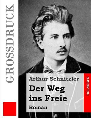 Book cover for Der Weg ins Freie (Großdruck)