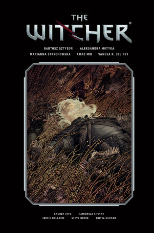 Cover of The Witcher Library Edition Volume 2