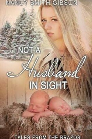 Cover of Not a Husband in Sight
