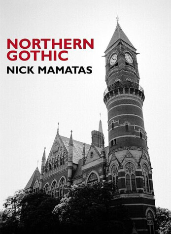 Book cover for Northern Gothic