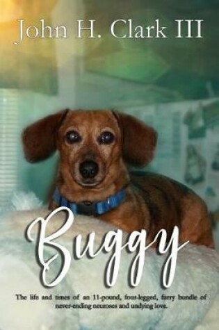 Cover of Buggy