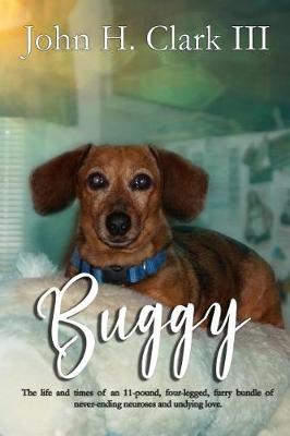 Book cover for Buggy