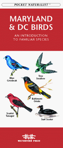 Book cover for Maryland and DC Birds