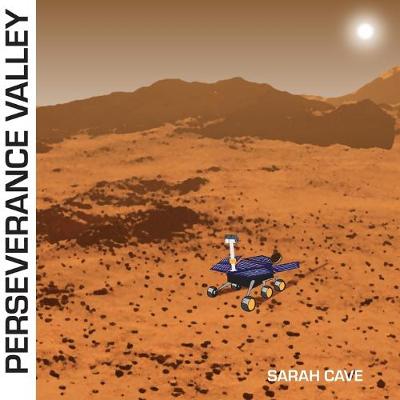 Book cover for Perseverance Valley