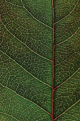 Cover of Leaf Veins Notebook