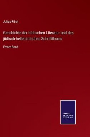 Cover of Geschichte der biblischen Literatur und des jüdisch-hellenistischen Schriftthums