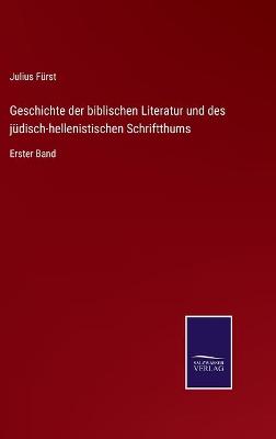 Book cover for Geschichte der biblischen Literatur und des jüdisch-hellenistischen Schriftthums