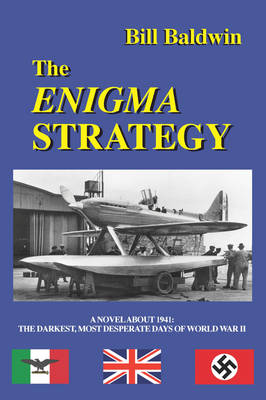 Book cover for THE Enigma Strategy