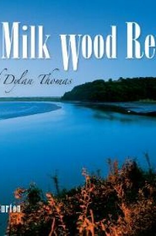 Cover of Under Milk Wood Revisited