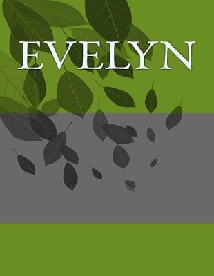 Book cover for Evelyn