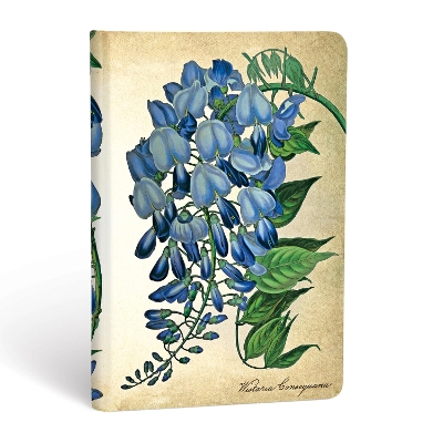 Book cover for Blooming Wisteria Mini Unlined Hardcover Journal