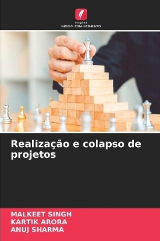 Cover of Realização e colapso de projetos