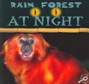 Book cover for Rain Forest at Night