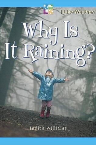 Cover of Why Is It Raining?