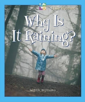 Book cover for Why Is It Raining?