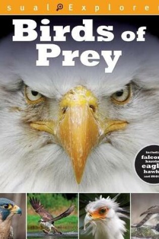 Cover of Birds of Prey