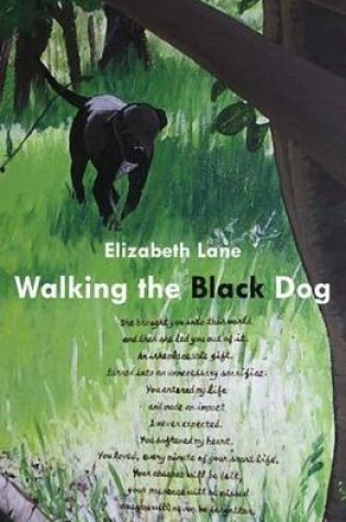 Cover of Walking the Black Dog