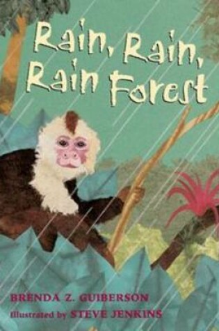 Cover of Rain, Rain, Rain Forest
