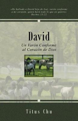 Book cover for David