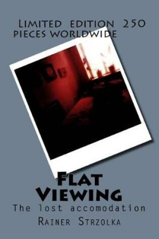 Cover of Flat Viewing