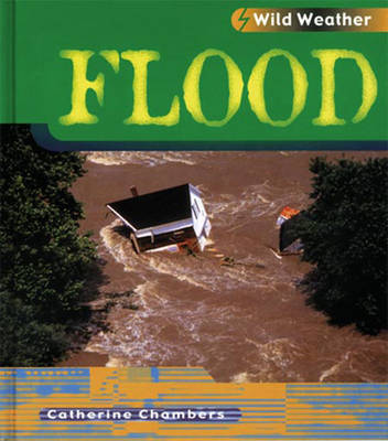 Book cover for Wild Weather: Flood Paperback