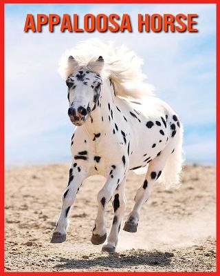 Book cover for Appaloosa Horse