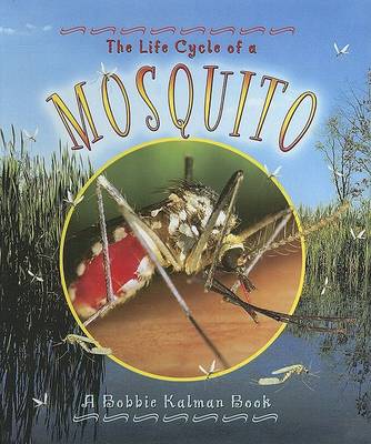 Book cover for Mosquito