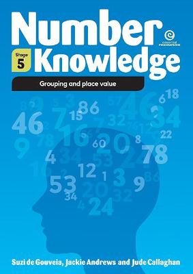 Book cover for Number Knowledge:Grouping and Place Value (Stage 5)