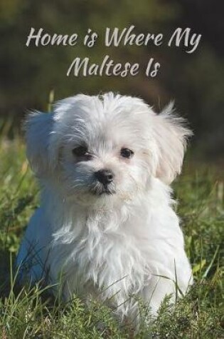 Cover of Home Is Where My Maltese Is