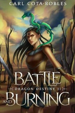 Cover of Battle and Burning