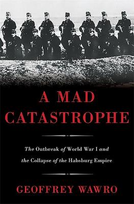 Book cover for A Mad Catastrophe