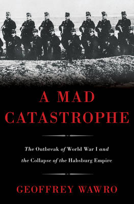 Book cover for A Mad Catastrophe