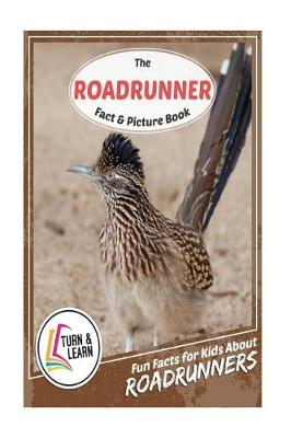 Book cover for The Roadrunner Fact and Picture Book