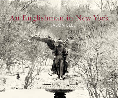 Book cover for An Englishman In New York
