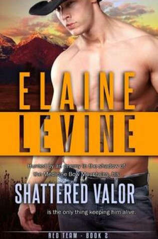 Cover of Shattered Valor