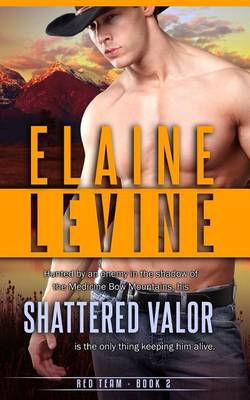 Cover of Shattered Valor