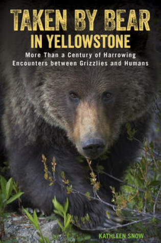 Cover of Taken by Bear in Yellowstone