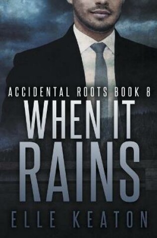 Cover of When It Rains