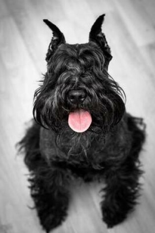 Cover of Happy Black Miniature Schnauzer Dog Journal