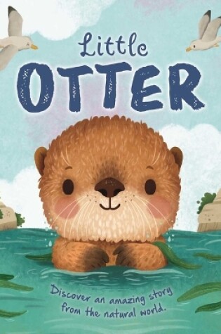 Cover of Nature Stories: Little Otter-Discover an Amazing Story from the Natural World